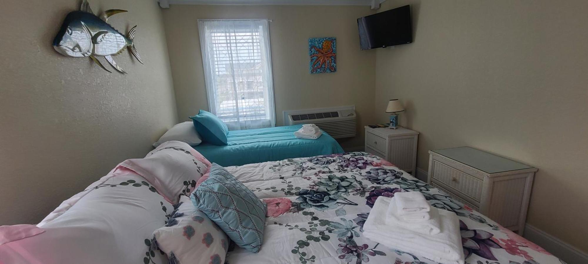 Beach Road Bed And Breakfast คิลเดวิลฮิลส์ ภายนอก รูปภาพ
